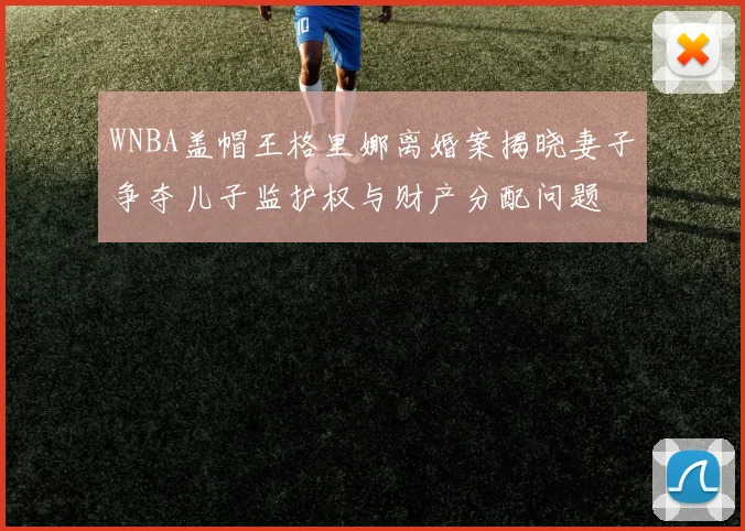 WNBA盖帽王格里娜离婚案揭晓妻子争夺儿子监护权与财产分配问题