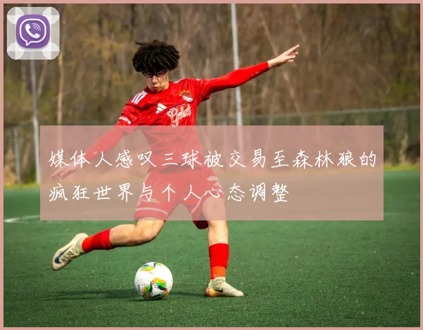 媒体人感叹三球被交易至森林狼的疯狂世界与个人心态调整