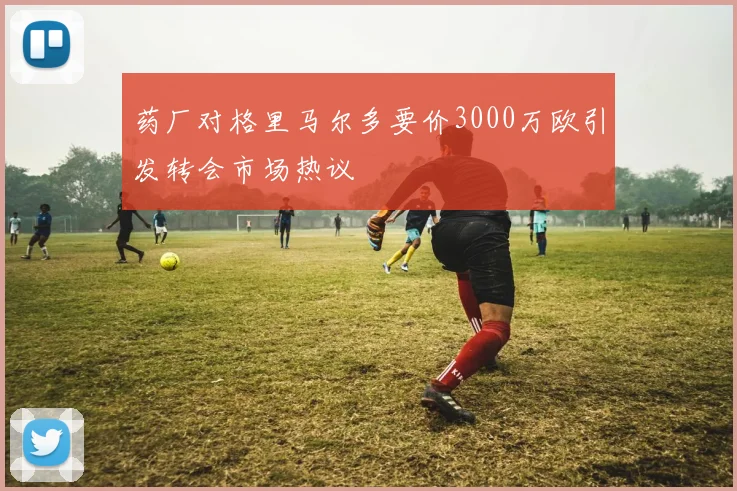 药厂对格里马尔多要价3000万欧引发转会市场热议