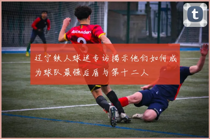辽宁铁人球迷专访揭示他们如何成为球队最强后盾与第十二人